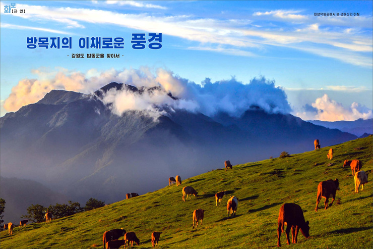 화보 《조선》 11월호_68.jpg