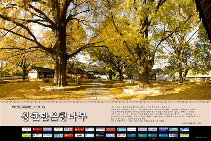 화보 《조선》 11월호_71.jpg