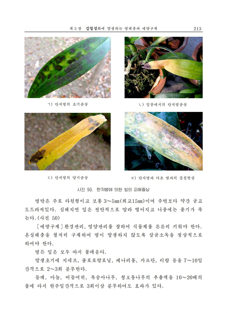 <b>김일성</b>화전서_213.jpg