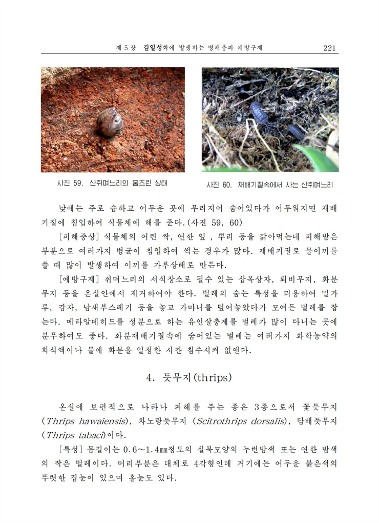 <b>김일성</b>화전서_221.jpg