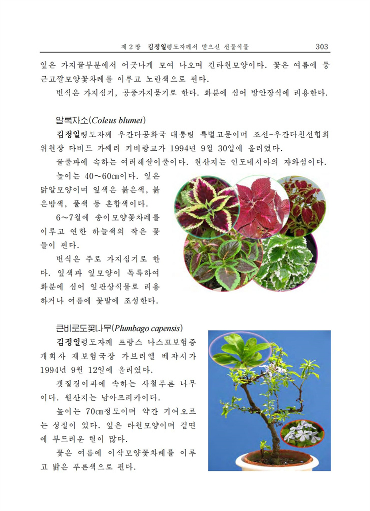 <b>김정일</b>화전서_294.jpg