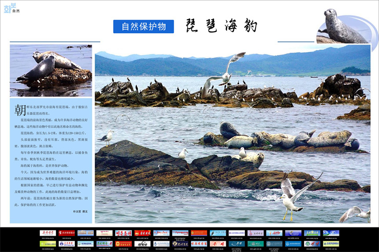 画报 朝鲜 2023年1月号_59.jpg