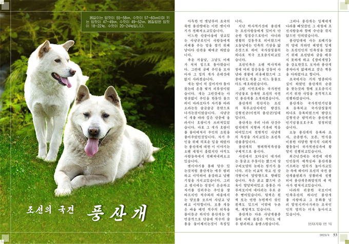 금수강산4월（2023-03-31）_27.jpg