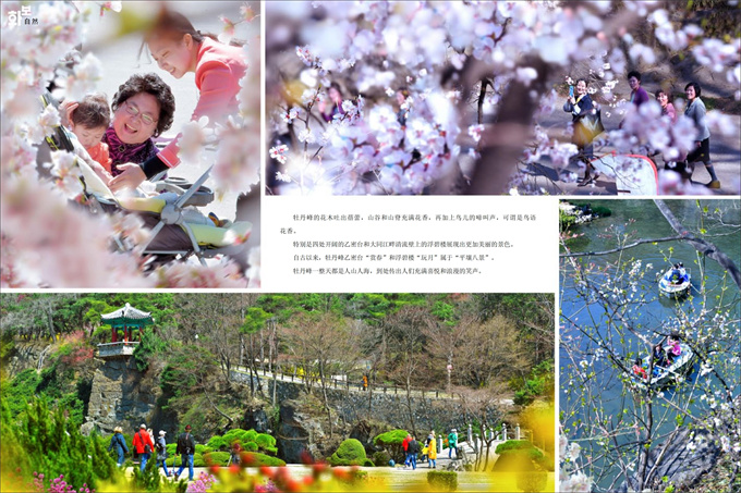 画报 朝鲜 4月号_65.jpg