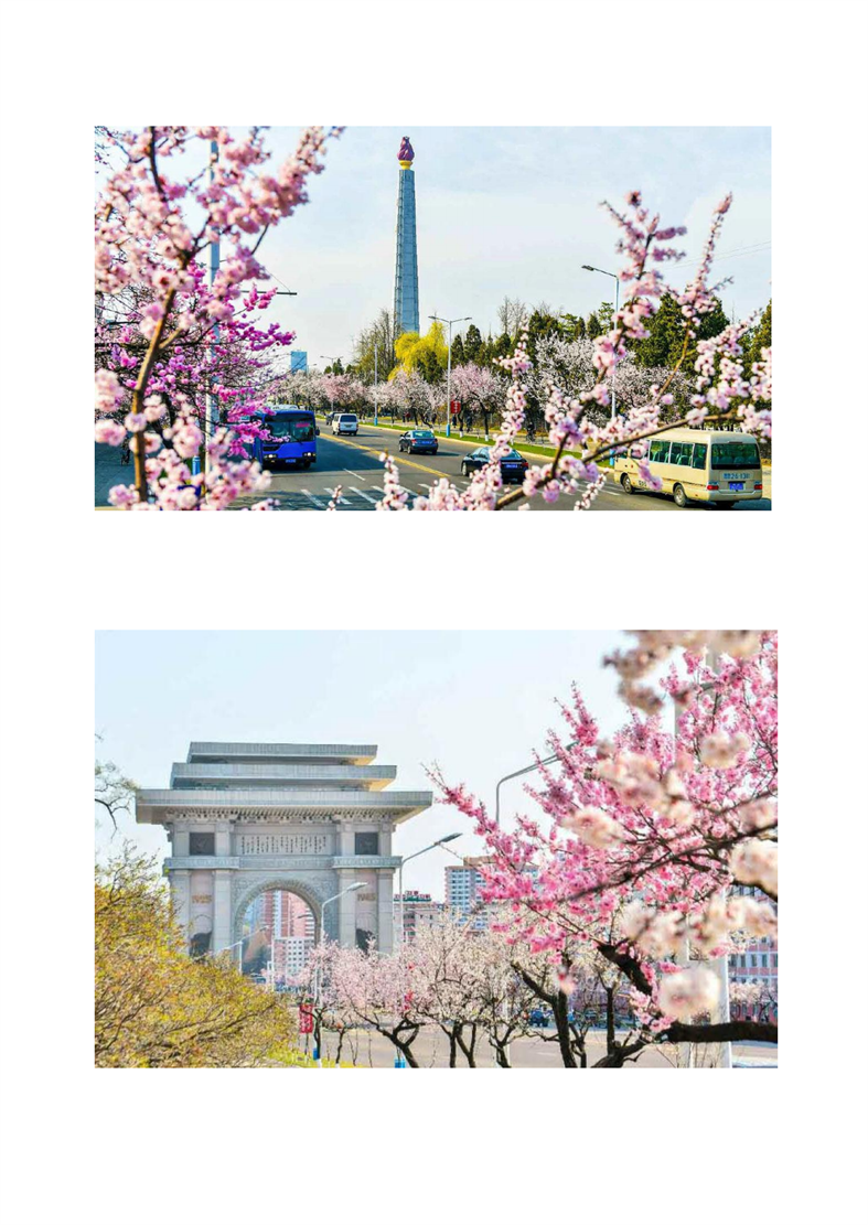 平壤的春景_01.png