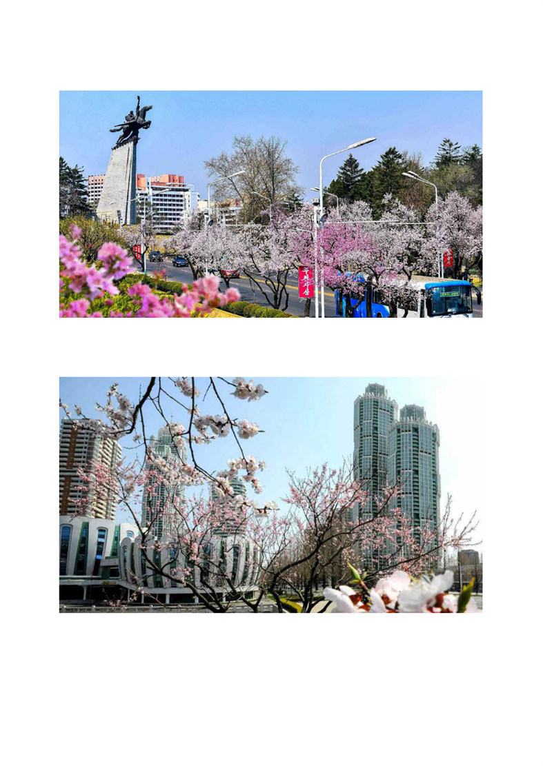 平壤的春景_02.png