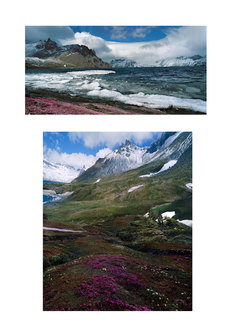白头山天池的春景_02.png