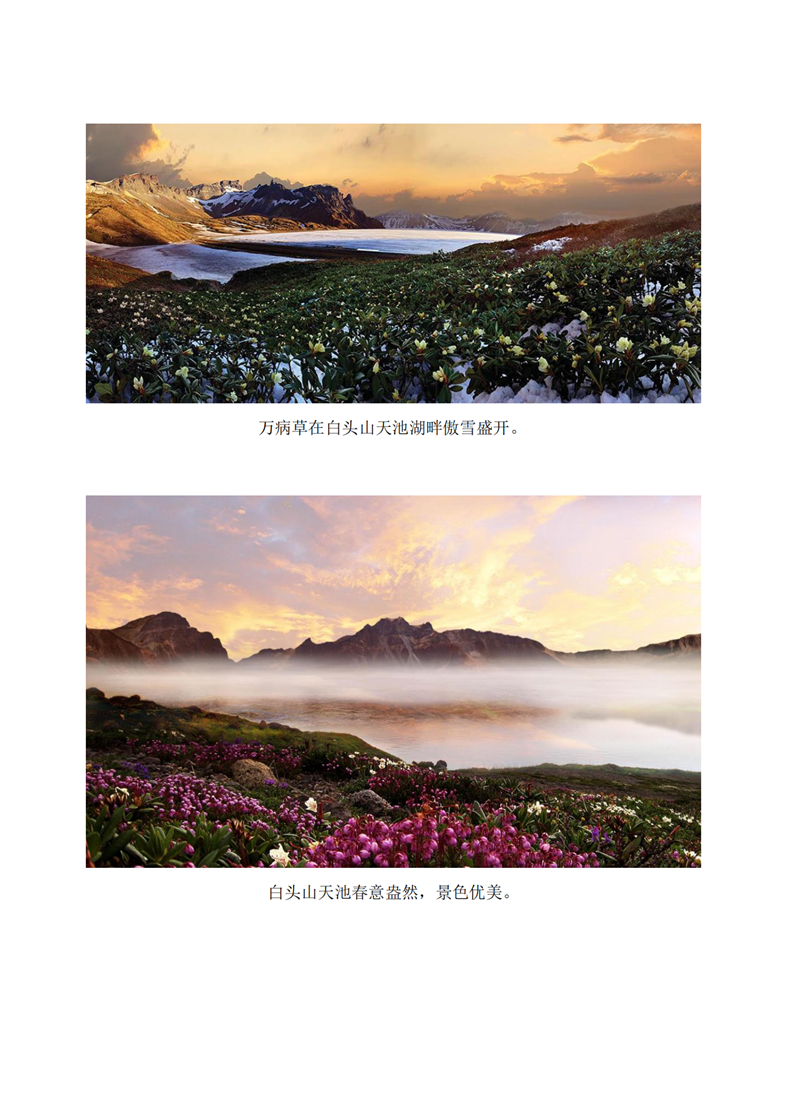 白头山天池的春景_03.png