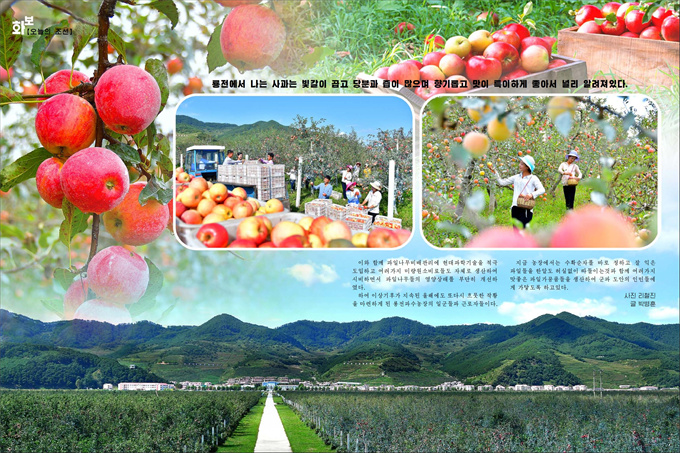 화보《조선》10월호_36.jpg