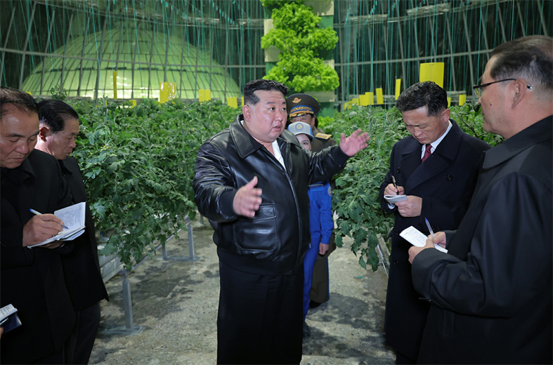index (16).jpg