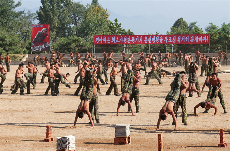 index (18).jpg